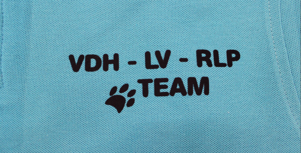 Verein der Hundefreunde, RLP